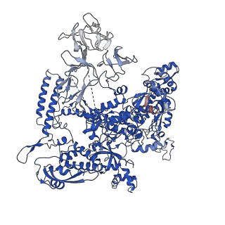 0874_6ldi_D_v1-1
The cryo-EM structure of E. coli CueR transcription activation complex