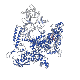 0874_6ldi_D_v1-3
The cryo-EM structure of E. coli CueR transcription activation complex