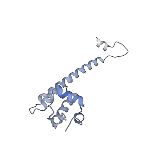 0874_6ldi_H_v1-1
The cryo-EM structure of E. coli CueR transcription activation complex