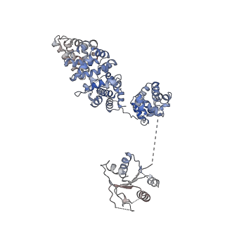 23278_7ld0_A_v1-2
Cryo-EM structure of ligand-free Human SARM1