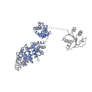 23278_7ld0_C_v1-2
Cryo-EM structure of ligand-free Human SARM1
