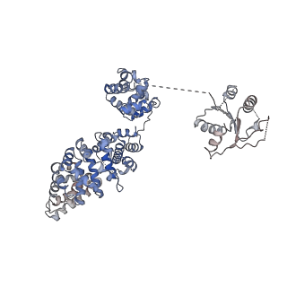 23278_7ld0_C_v1-3
Cryo-EM structure of ligand-free Human SARM1