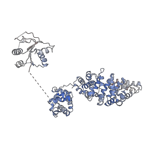 23278_7ld0_F_v1-3
Cryo-EM structure of ligand-free Human SARM1