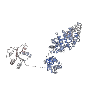 23278_7ld0_G_v1-2
Cryo-EM structure of ligand-free Human SARM1