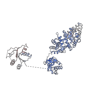 23278_7ld0_G_v1-3
Cryo-EM structure of ligand-free Human SARM1