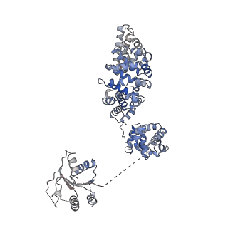23278_7ld0_H_v1-2
Cryo-EM structure of ligand-free Human SARM1