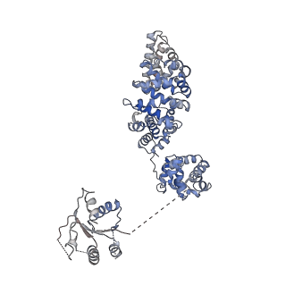 23278_7ld0_H_v1-3
Cryo-EM structure of ligand-free Human SARM1