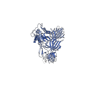 23279_7ld1_B_v1-1
Structure of SARS-CoV-2 S protein in complex with Receptor Binding Domain antibody DH1047
