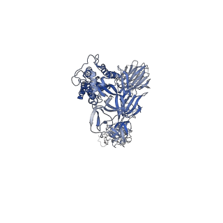 23279_7ld1_B_v2-2
Structure of SARS-CoV-2 S protein in complex with Receptor Binding Domain antibody DH1047