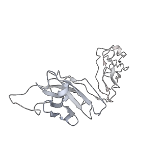 23279_7ld1_H_v1-1
Structure of SARS-CoV-2 S protein in complex with Receptor Binding Domain antibody DH1047