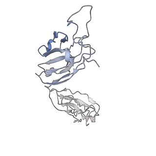 23279_7ld1_M_v1-1
Structure of SARS-CoV-2 S protein in complex with Receptor Binding Domain antibody DH1047