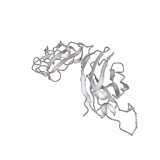 23279_7ld1_P_v2-2
Structure of SARS-CoV-2 S protein in complex with Receptor Binding Domain antibody DH1047