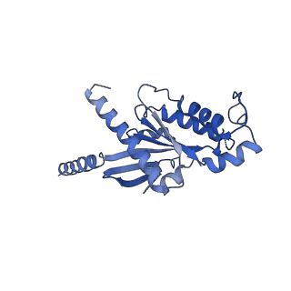 23280_7ld3_A_v1-1
Cryo-EM structure of the human adenosine A1 receptor-Gi2-protein complex bound to its endogenous agonist and an allosteric ligand