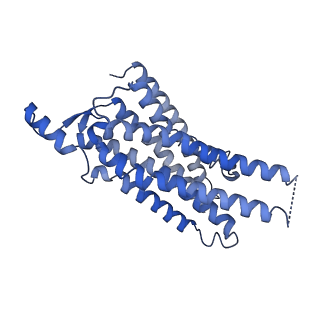 23280_7ld3_R_v1-1
Cryo-EM structure of the human adenosine A1 receptor-Gi2-protein complex bound to its endogenous agonist and an allosteric ligand