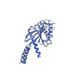 23281_7ld4_A_v1-1
Cryo-EM structure of the human adenosine A1 receptor-Gi2-protein complex bound to its endogenous agonist