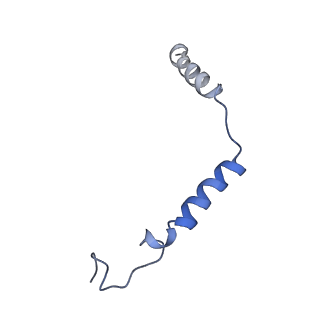 23281_7ld4_G_v1-1
Cryo-EM structure of the human adenosine A1 receptor-Gi2-protein complex bound to its endogenous agonist