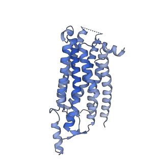 23281_7ld4_R_v1-1
Cryo-EM structure of the human adenosine A1 receptor-Gi2-protein complex bound to its endogenous agonist
