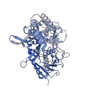 23282_7ld5_C_v1-1
polynucleotide phosphorylase