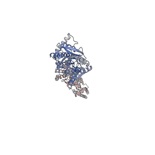 23283_7ldd_A_v1-2
native AMPA receptor