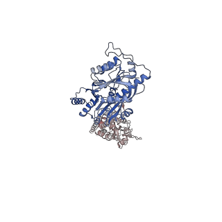 23283_7ldd_B_v1-2
native AMPA receptor