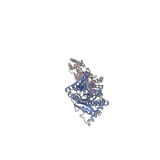 23283_7ldd_C_v1-2
native AMPA receptor