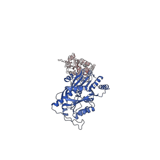 23283_7ldd_D_v1-2
native AMPA receptor