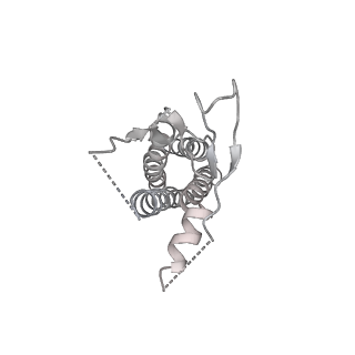 23283_7ldd_G_v1-2
native AMPA receptor