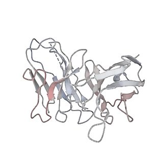23283_7ldd_L_v1-2
native AMPA receptor