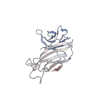 23283_7ldd_N_v1-2
native AMPA receptor