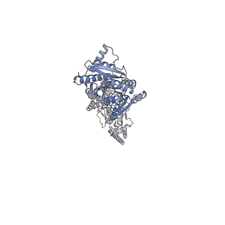 23284_7lde_A_v1-2
native AMPA receptor