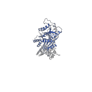 23284_7lde_B_v1-2
native AMPA receptor