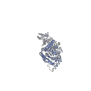 23284_7lde_C_v1-2
native AMPA receptor