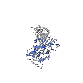 23284_7lde_D_v1-2
native AMPA receptor