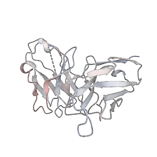 23284_7lde_L_v1-2
native AMPA receptor