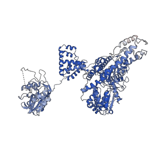 4038_5ld2_B_v1-2
Cryo-EM structure of RecBCD+DNA complex revealing activated nuclease domain