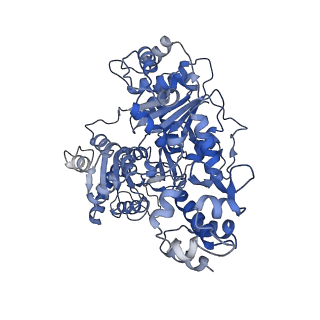 4038_5ld2_D_v1-2
Cryo-EM structure of RecBCD+DNA complex revealing activated nuclease domain