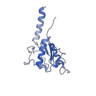 4040_5ldw_B_v1-2
Structure of mammalian respiratory Complex I, class1