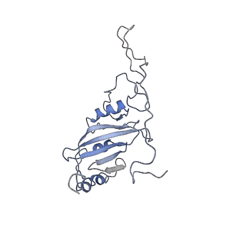 4040_5ldw_C_v1-2
Structure of mammalian respiratory Complex I, class1