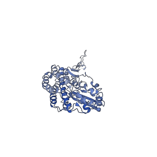 4040_5ldw_D_v1-2
Structure of mammalian respiratory Complex I, class1