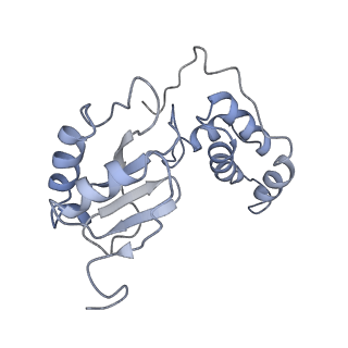 4040_5ldw_E_v1-2
Structure of mammalian respiratory Complex I, class1