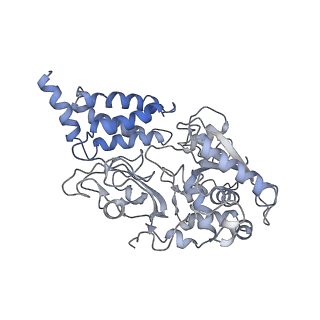 4040_5ldw_F_v1-2
Structure of mammalian respiratory Complex I, class1