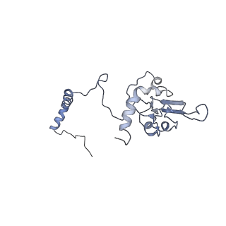 4040_5ldw_I_v1-2
Structure of mammalian respiratory Complex I, class1