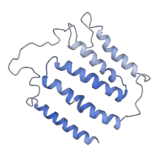 4040_5ldw_J_v1-2
Structure of mammalian respiratory Complex I, class1
