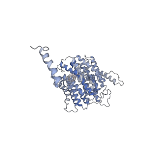 4040_5ldw_L_v1-2
Structure of mammalian respiratory Complex I, class1