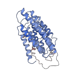 4040_5ldw_N_v1-2
Structure of mammalian respiratory Complex I, class1