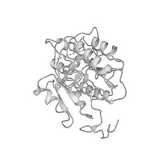 4040_5ldw_P_v1-2
Structure of mammalian respiratory Complex I, class1