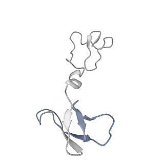 4040_5ldw_R_v1-2
Structure of mammalian respiratory Complex I, class1