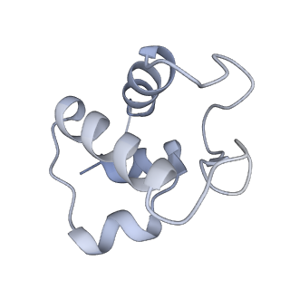 4040_5ldw_T_v1-2
Structure of mammalian respiratory Complex I, class1