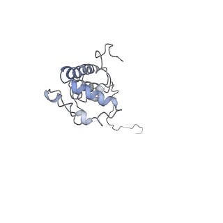 4040_5ldw_X_v1-2
Structure of mammalian respiratory Complex I, class1