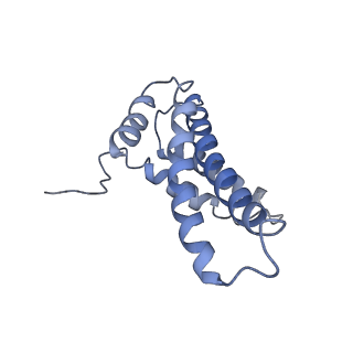 4040_5ldw_Y_v1-2
Structure of mammalian respiratory Complex I, class1